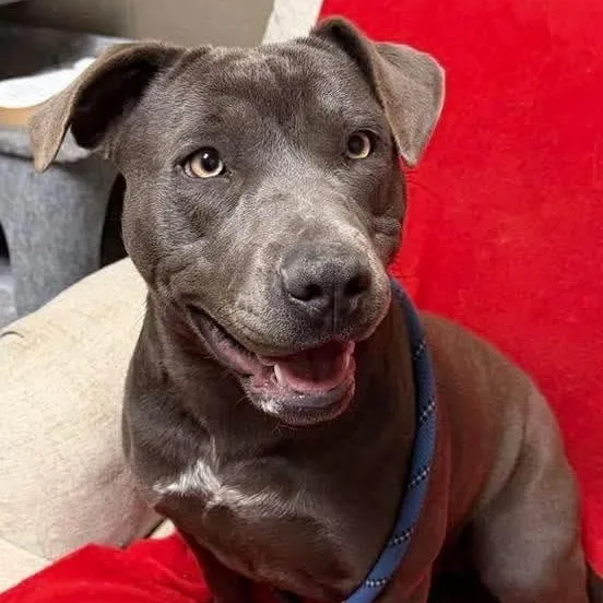 Sunshine thumbnail 5