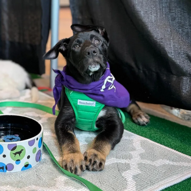 Equipment Malfunction