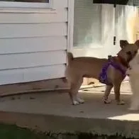 Lil Lulu thumbnail 2