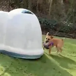 Lil Lulu thumbnail 3