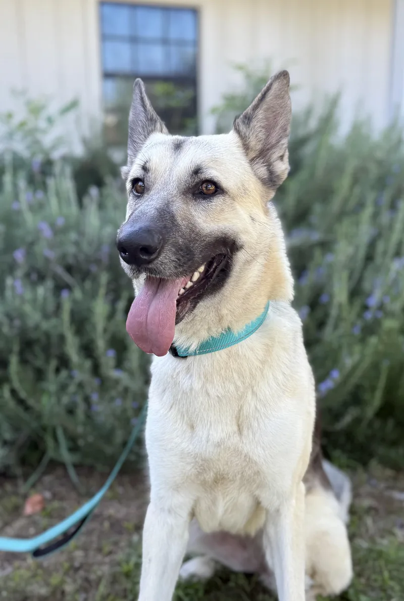 Lili  Lola thumbnail 2