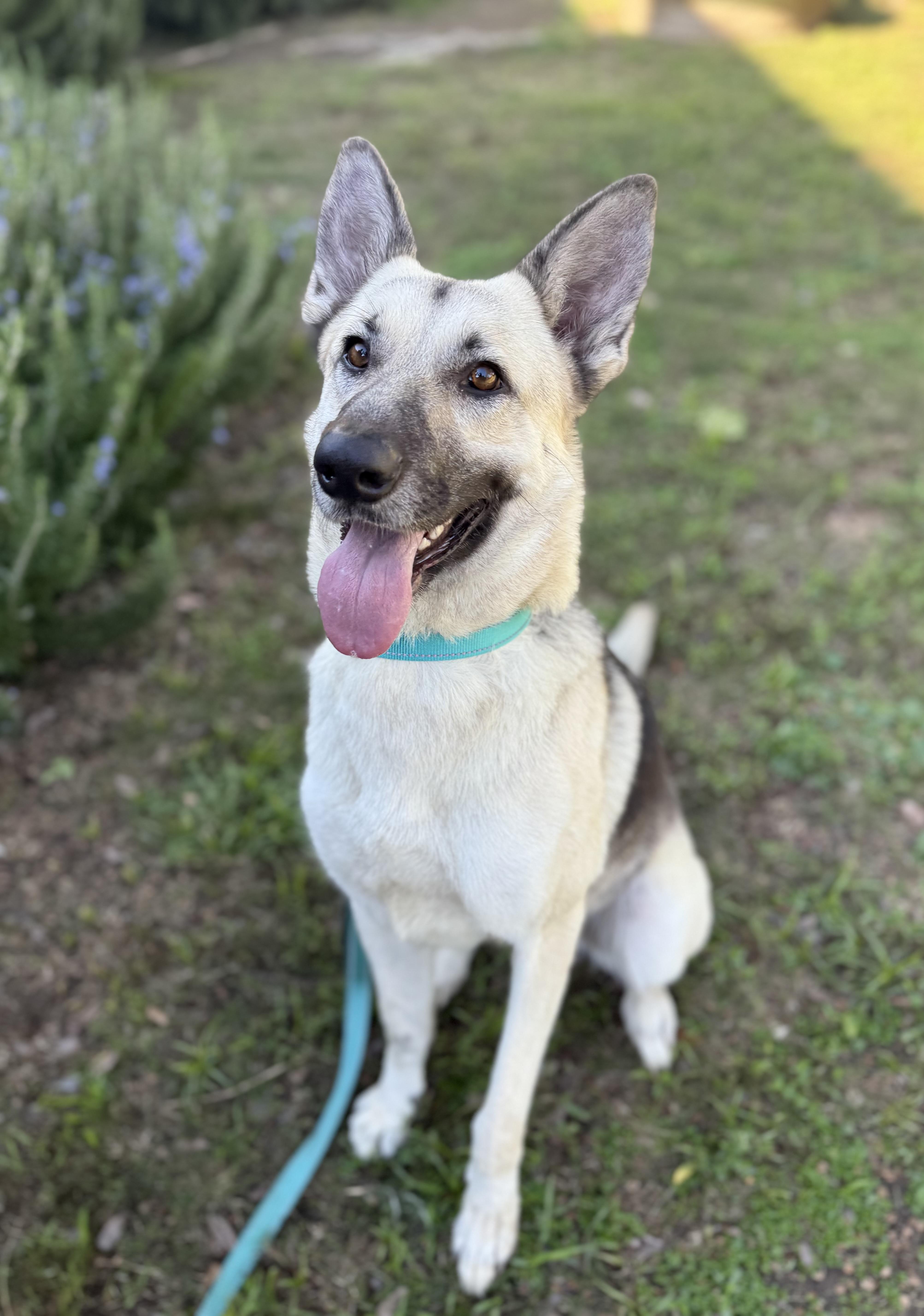 Lili  Lola thumbnail 4