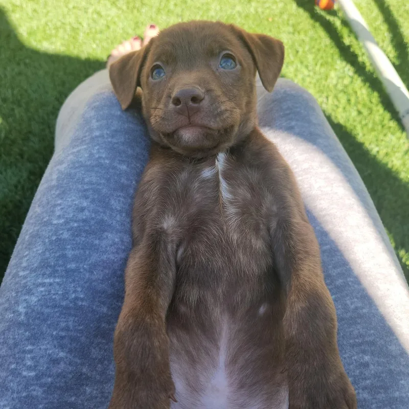 Espresso! thumbnail 4