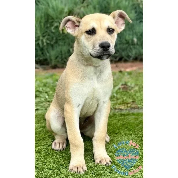 Zela Davis Park Litterzella thumbnail 2