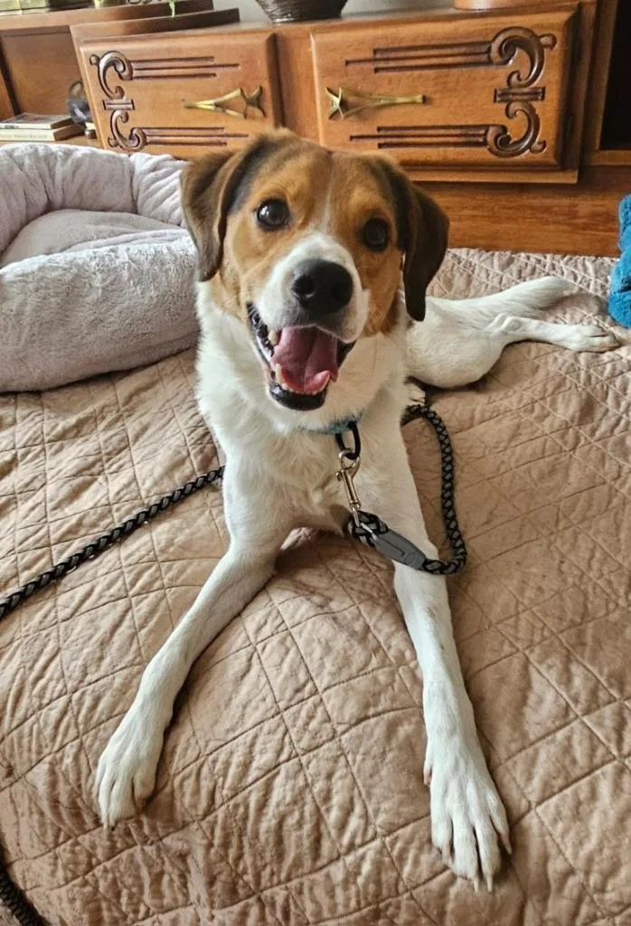 Mike Wazowski thumbnail 2