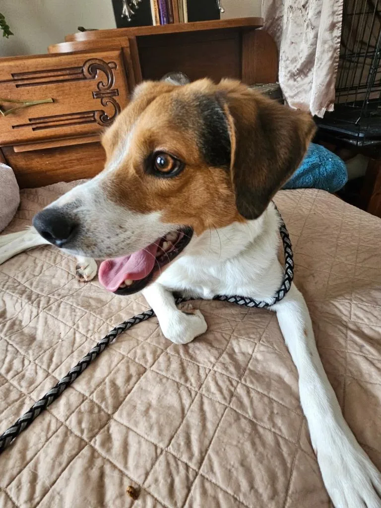 Mike Wazowski thumbnail 3