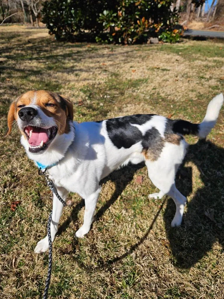 Mike Wazowski thumbnail 4