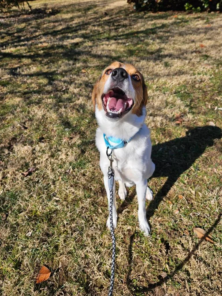 Mike Wazowski thumbnail 5