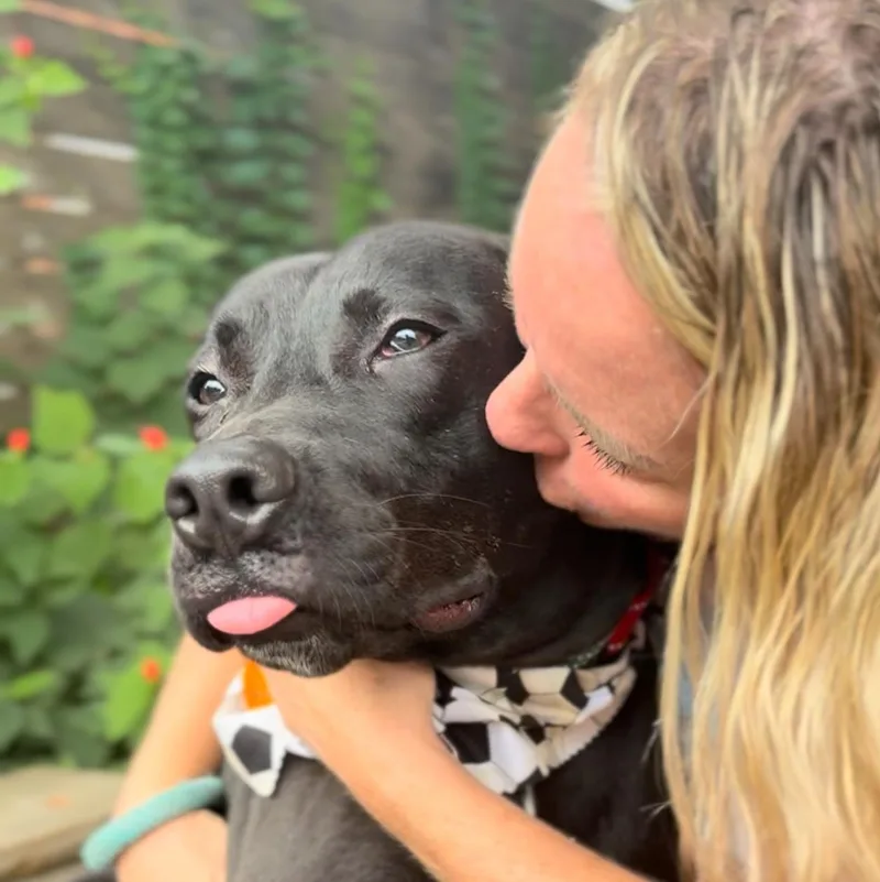 Lazarus  "russie Laz" thumbnail 3