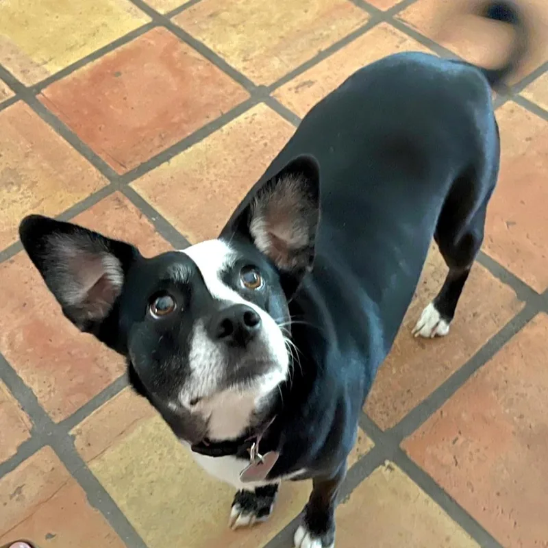 Millie M thumbnail 2