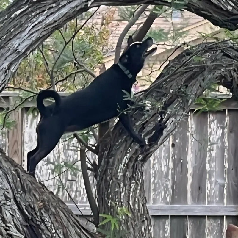 Millie M thumbnail 6