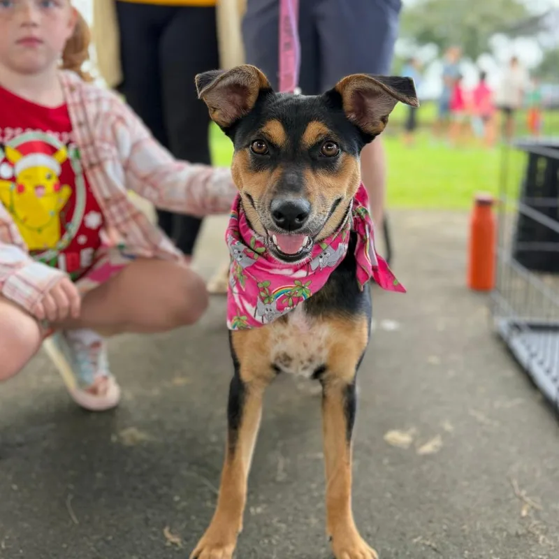 Hina Lani thumbnail 2