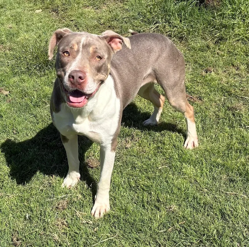 Princess thumbnail 4