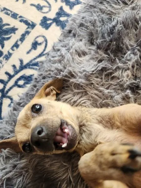 Tuna Turner thumbnail 2