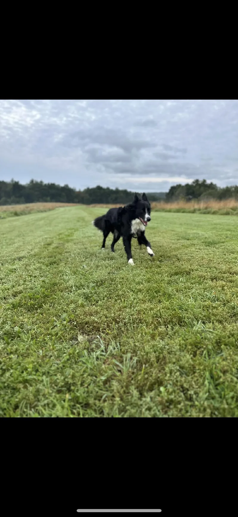 Jack  Courtesy Listing thumbnail 2