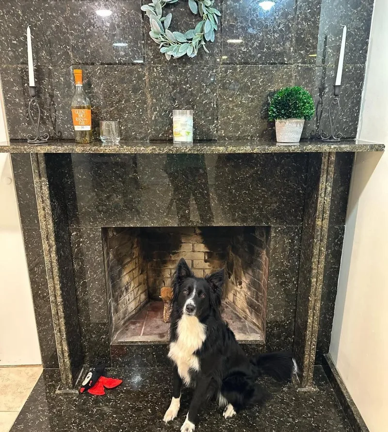 Jack  Courtesy Listing thumbnail 4