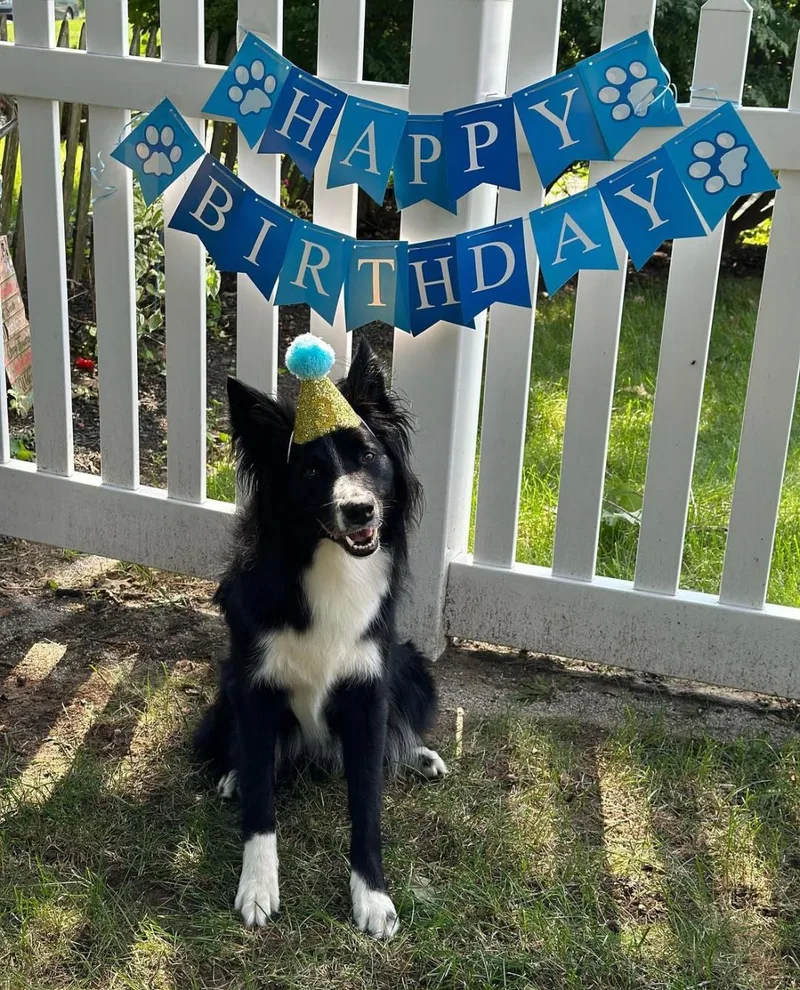 Jack  Courtesy Listing thumbnail 5