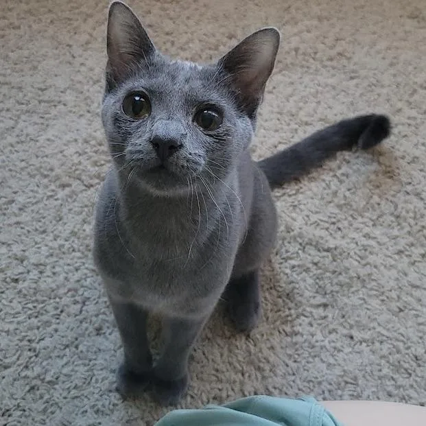 Flower Power thumbnail 3