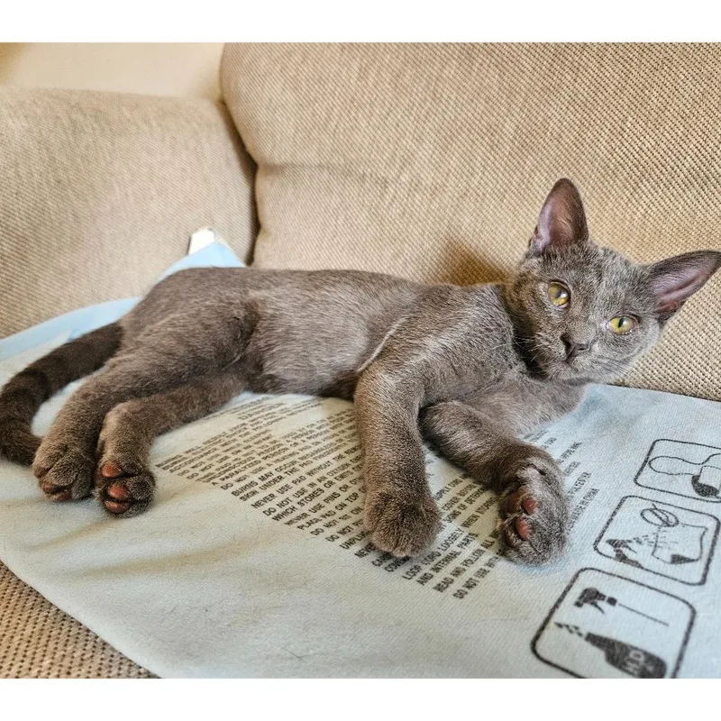 Flower Power thumbnail 4