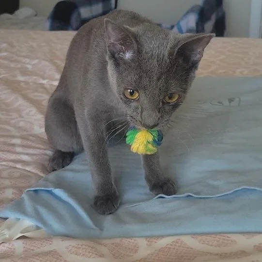 Flower Power thumbnail 5