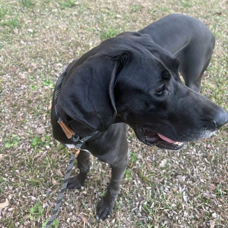 Marinara thumbnail 2