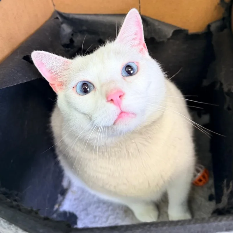 Izzy Grace thumbnail 2