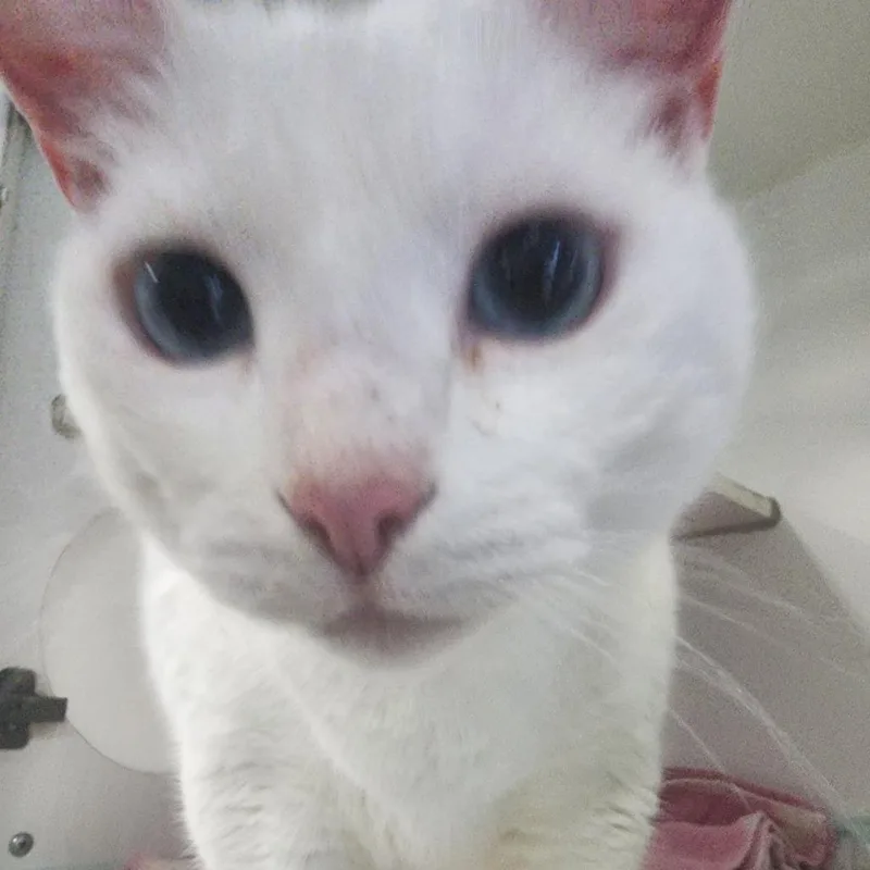 Izzy Grace thumbnail 3