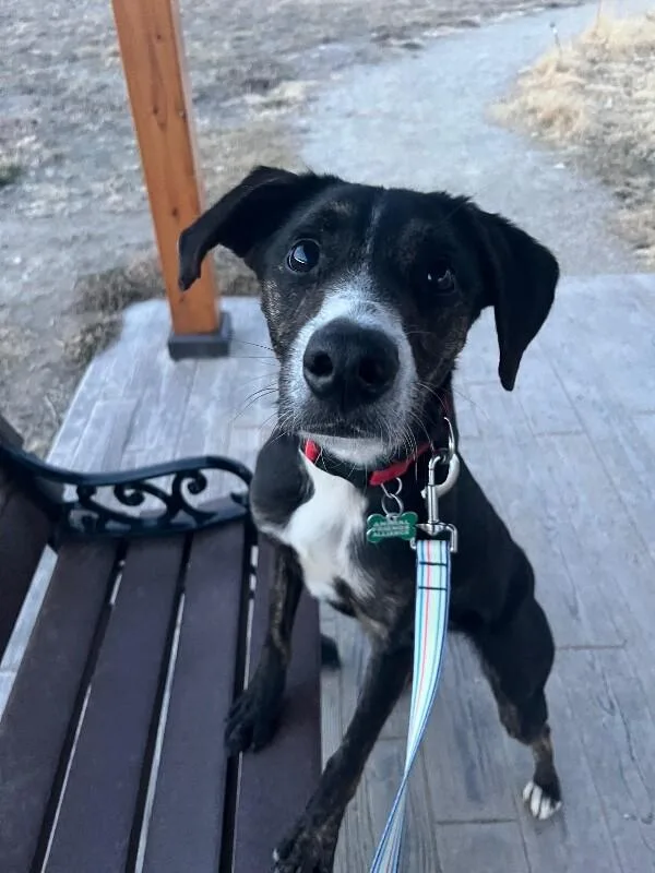 Tooticky thumbnail 6