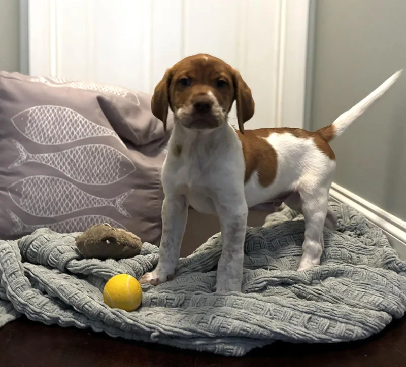 Grant Robie thumbnail 2