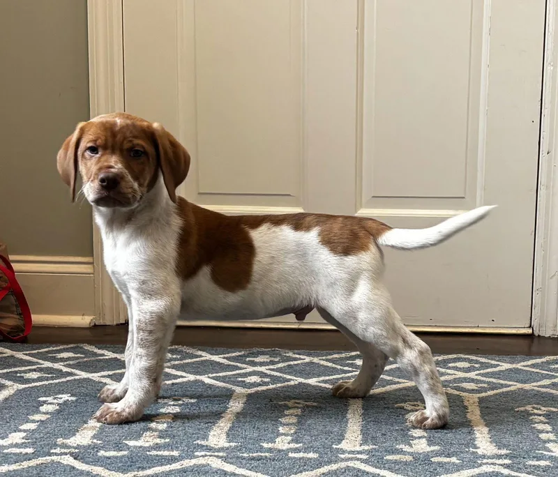 Grant Robie thumbnail 3