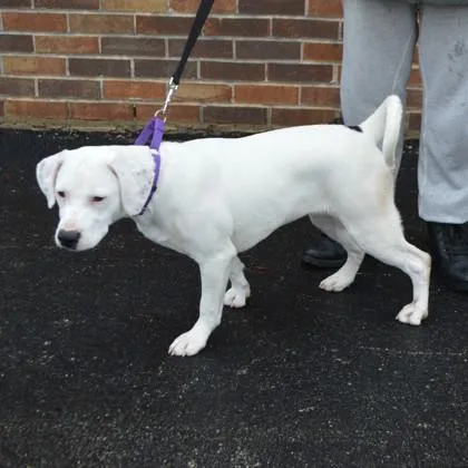 Kathleen thumbnail 2