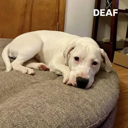 Kathleen thumbnail 3