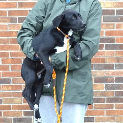 Valentine thumbnail 2