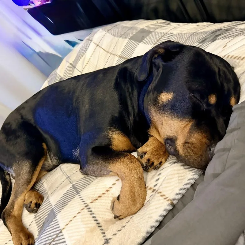 Nixxon Oliver thumbnail 2