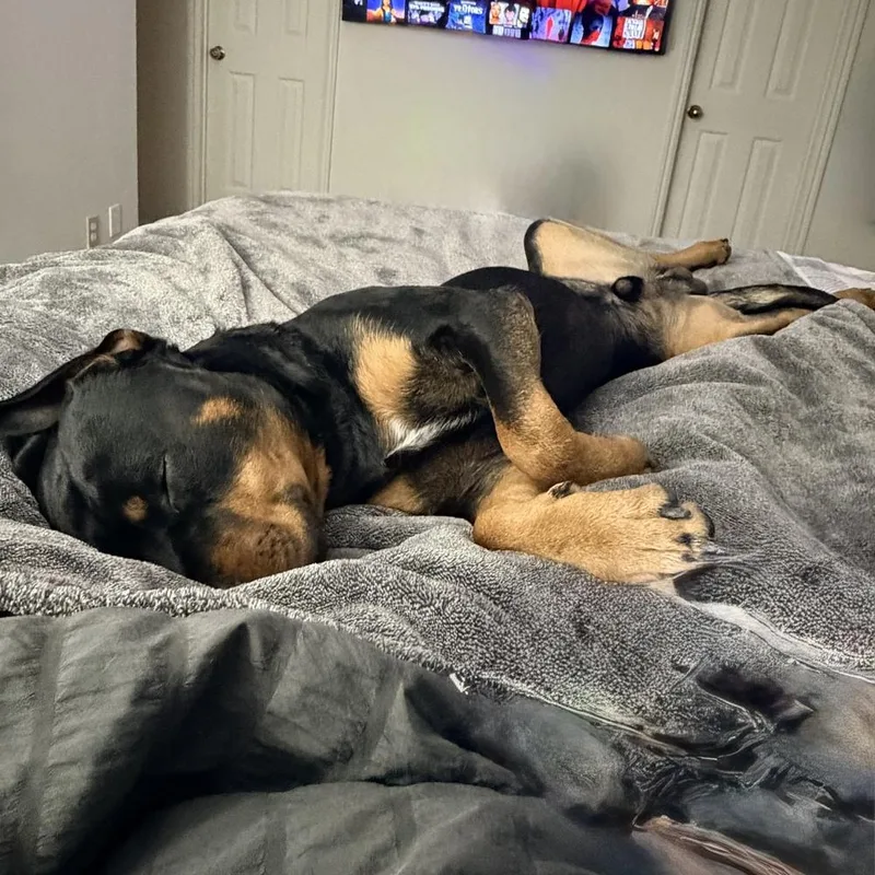 Nixxon Oliver thumbnail 4