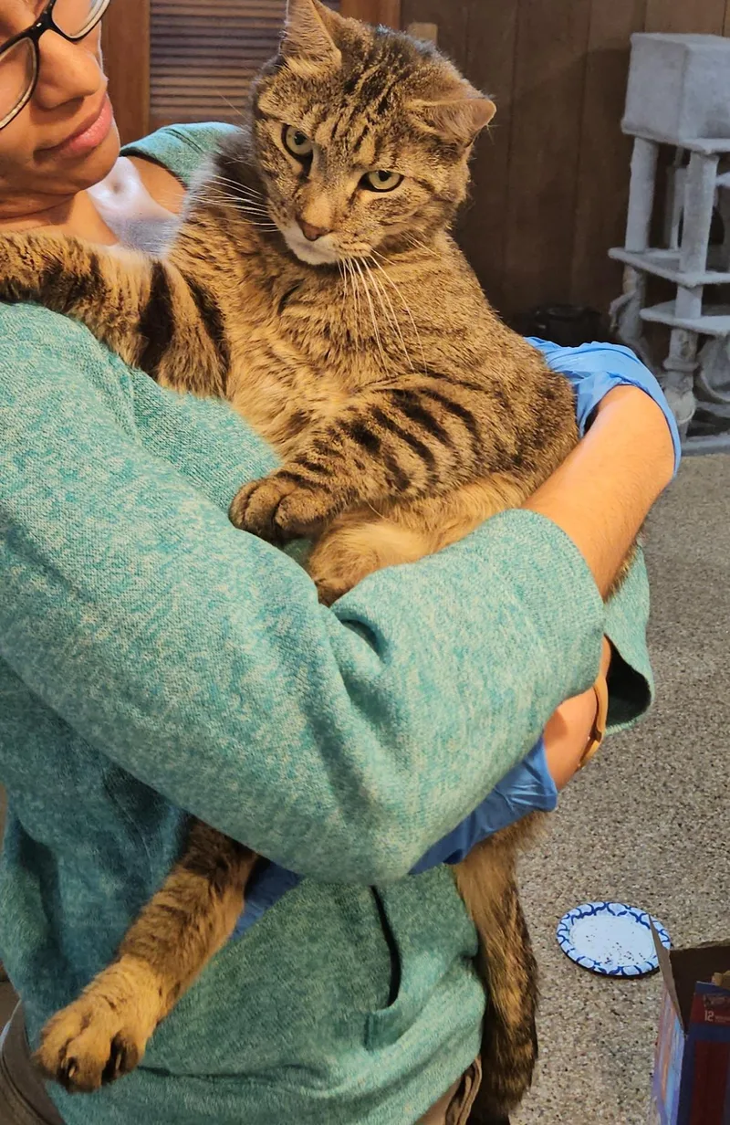 Pierre A.c.  The thumbnail 4