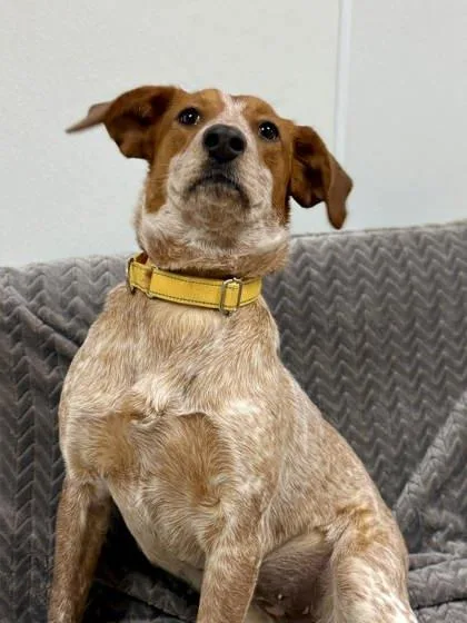 Magdalene thumbnail 2