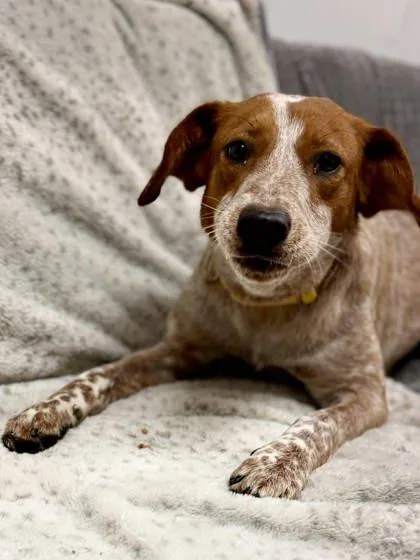 Magdalene thumbnail 3