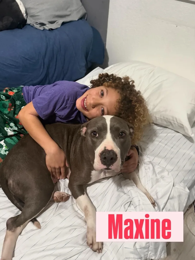 Maxine thumbnail 5