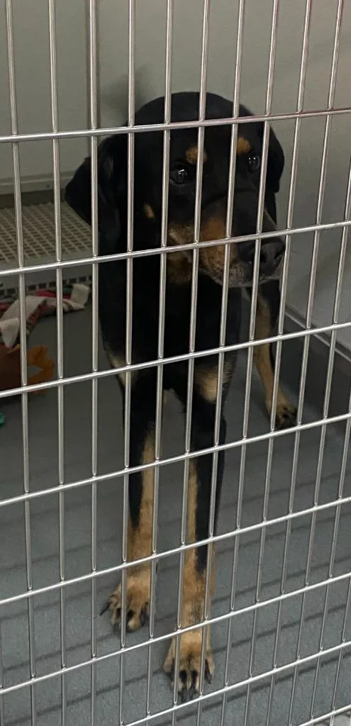 Franklin thumbnail 5