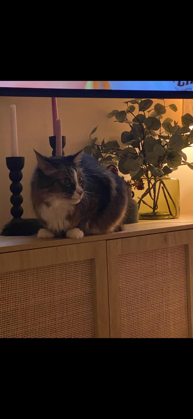 Mochi!! Urgent! thumbnail 2