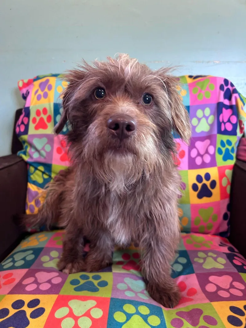 Mateo Jan thumbnail 3