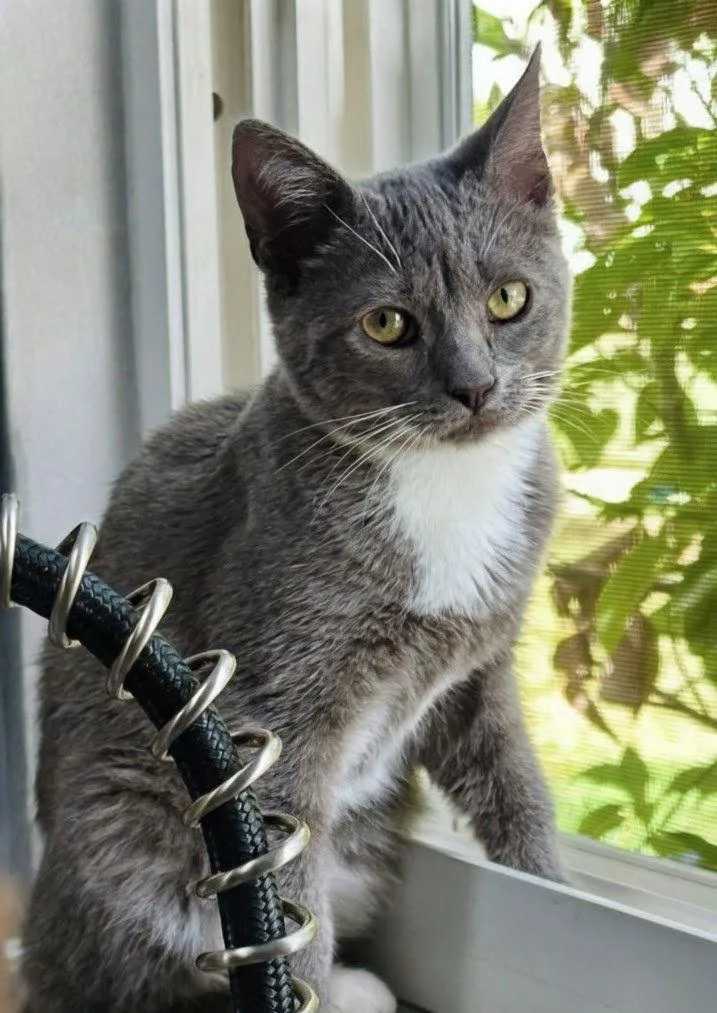 Scrabble .. thumbnail 2