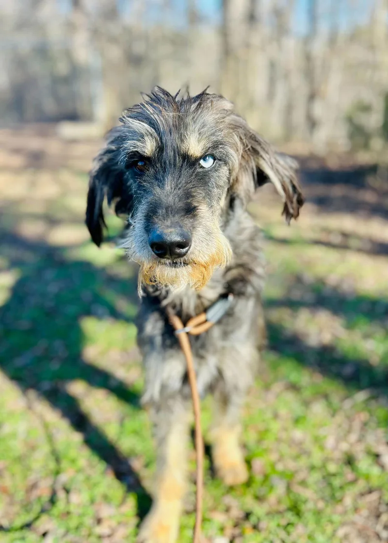 Zaire Oct thumbnail 2