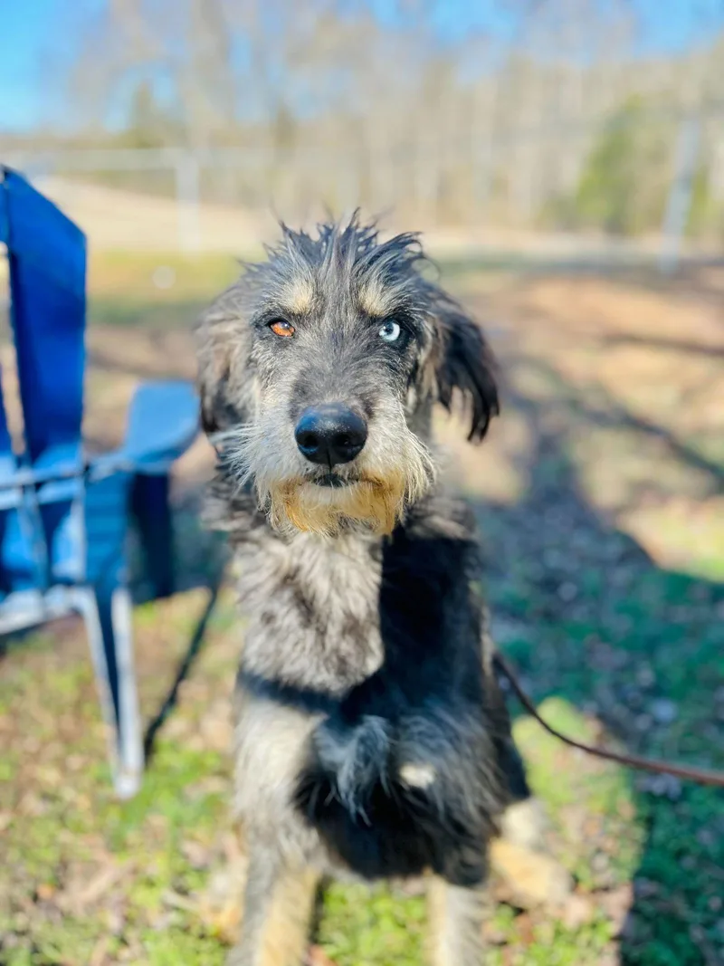 Zaire Oct thumbnail 3