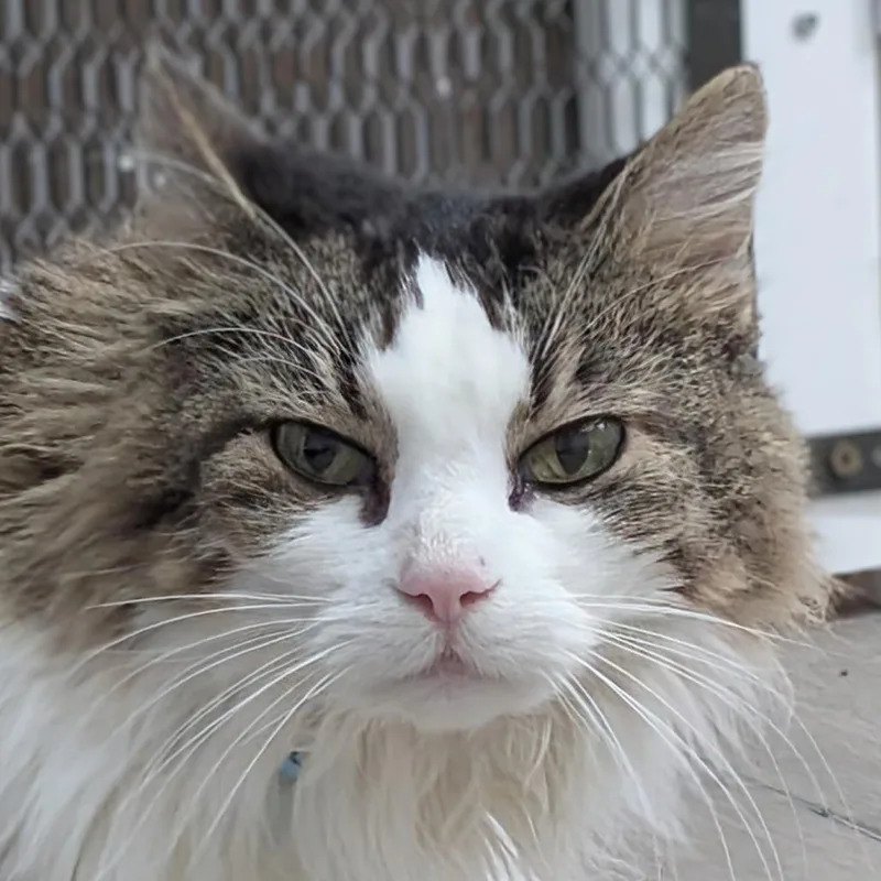 Lucy Lu thumbnail 3