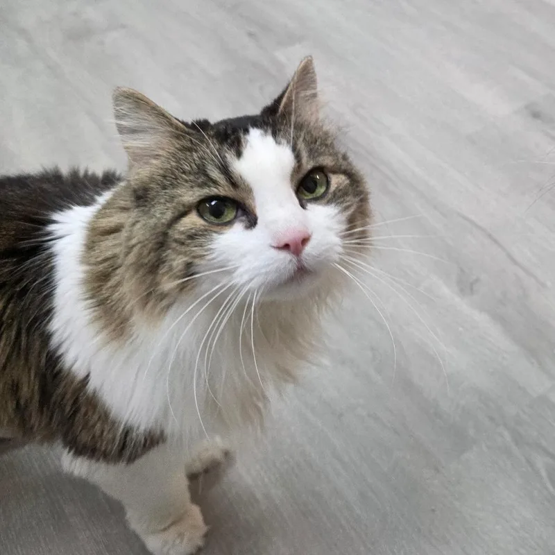 Lucy Lu thumbnail 4