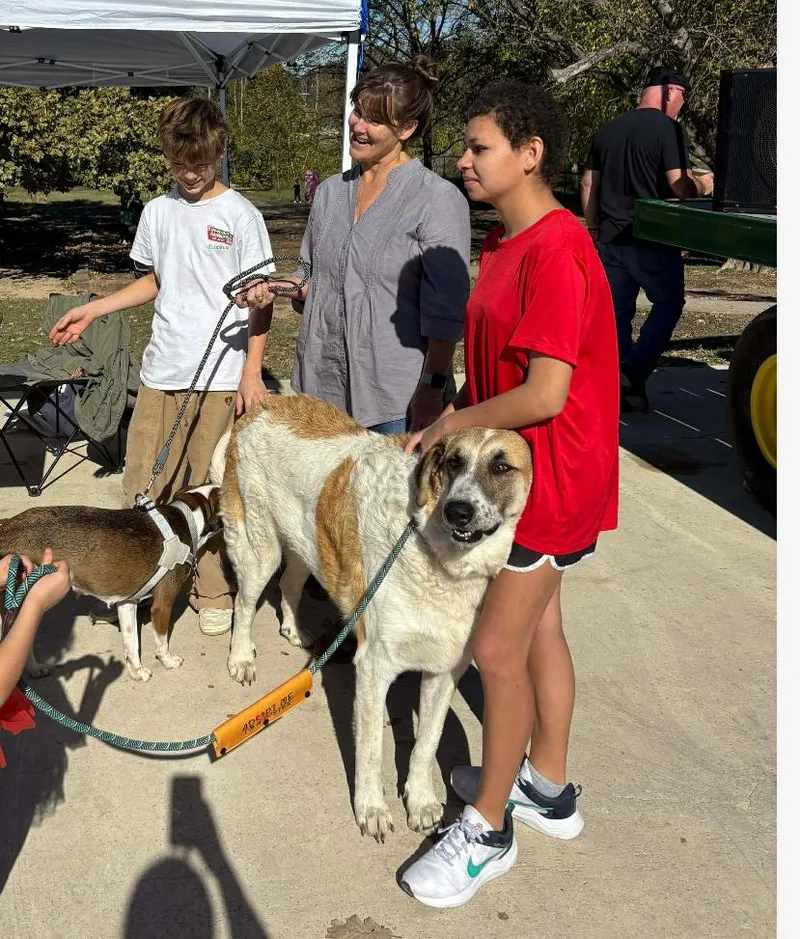 Houston Cs thumbnail 2