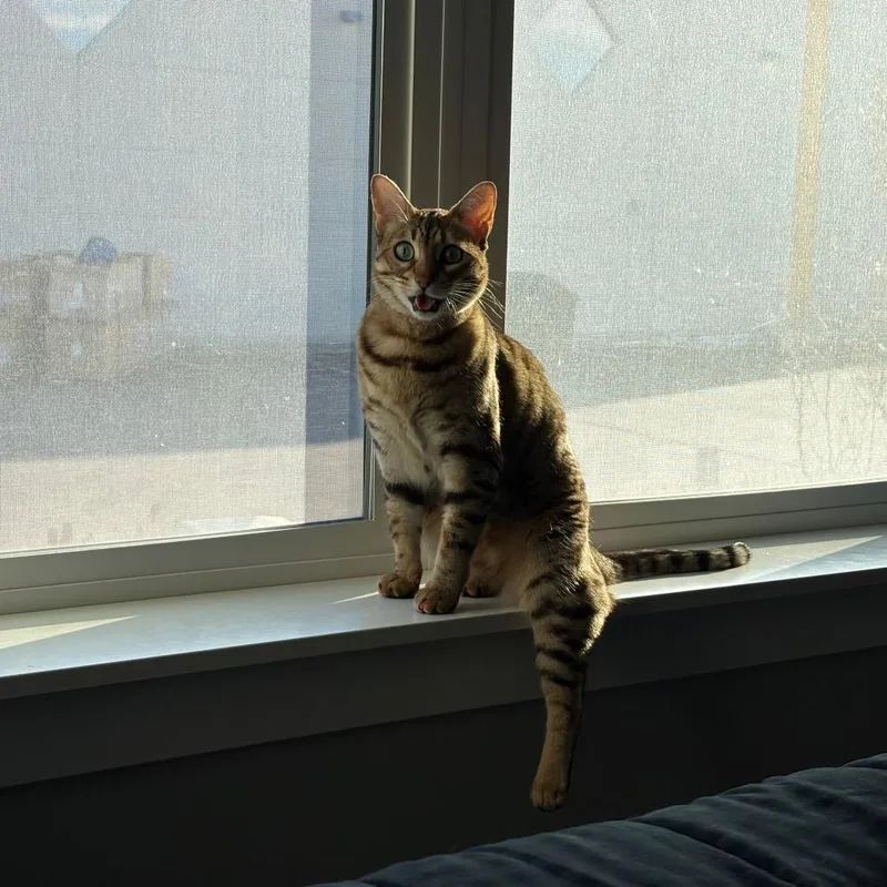 Rosie Holmes thumbnail 2