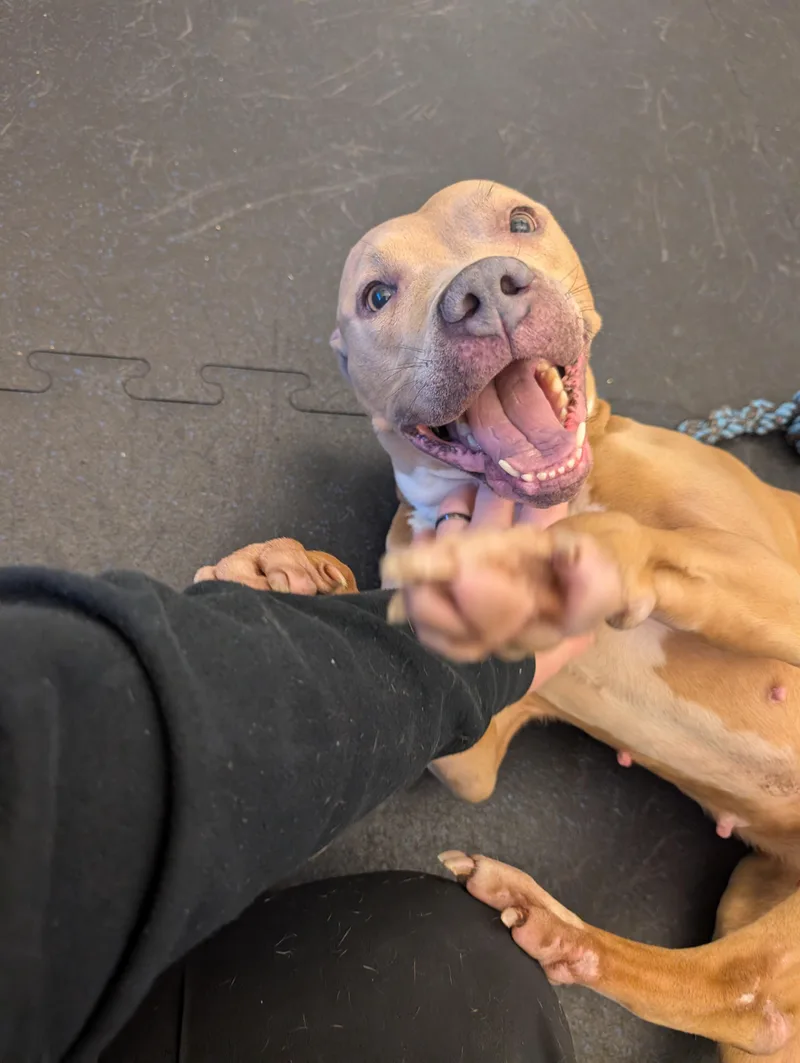 Jean Grey thumbnail 2